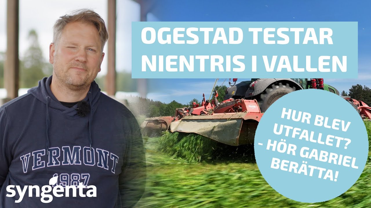 Hur använder Sveriges största mjölkgård kvävefixerande bakterier?