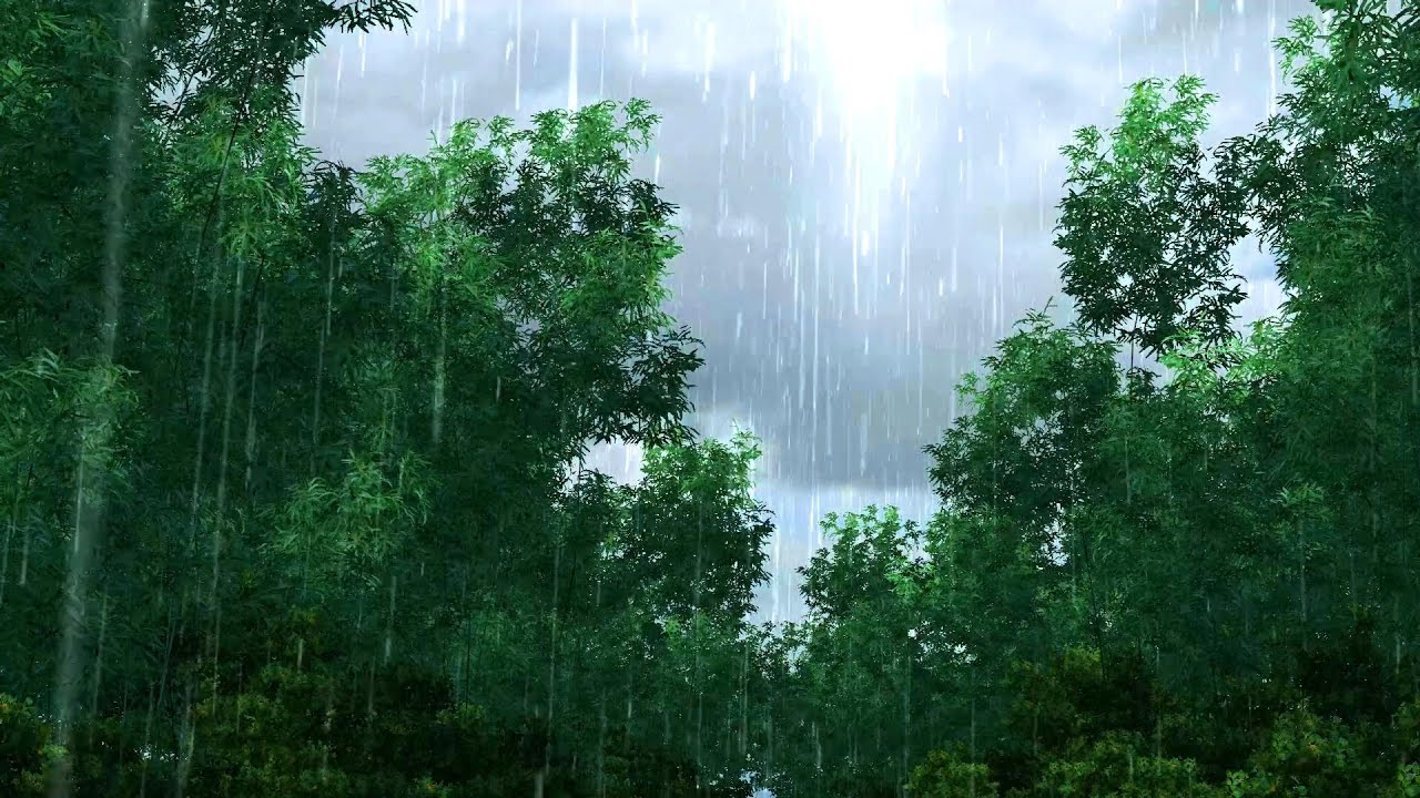 Heavy Forest Thunderstorm – 3 Hours of Rain & Thunder Rumble Ambience