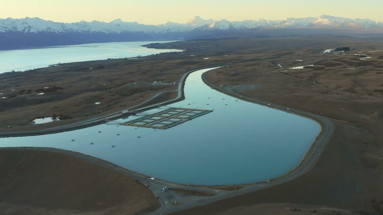 Mt Cook Alpine Salmon Farms