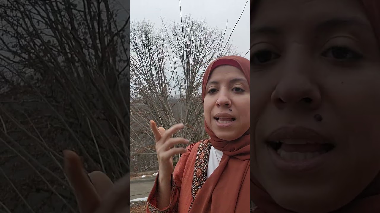 بين الداخل والخارج لمن يكون الدعم| رسالة كفاء اليماني🇾🇪
