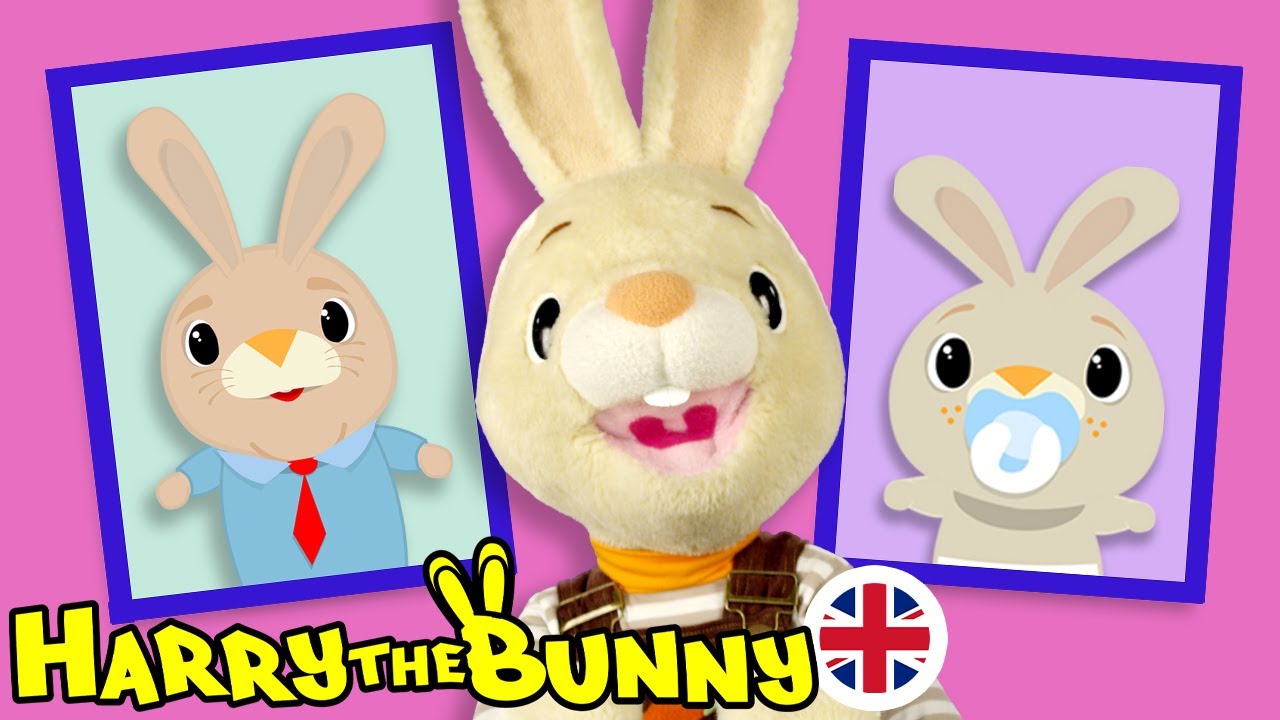 Baby Learning First Words w Harry the Bunny | Family & Musical Instruments | Educational Videos