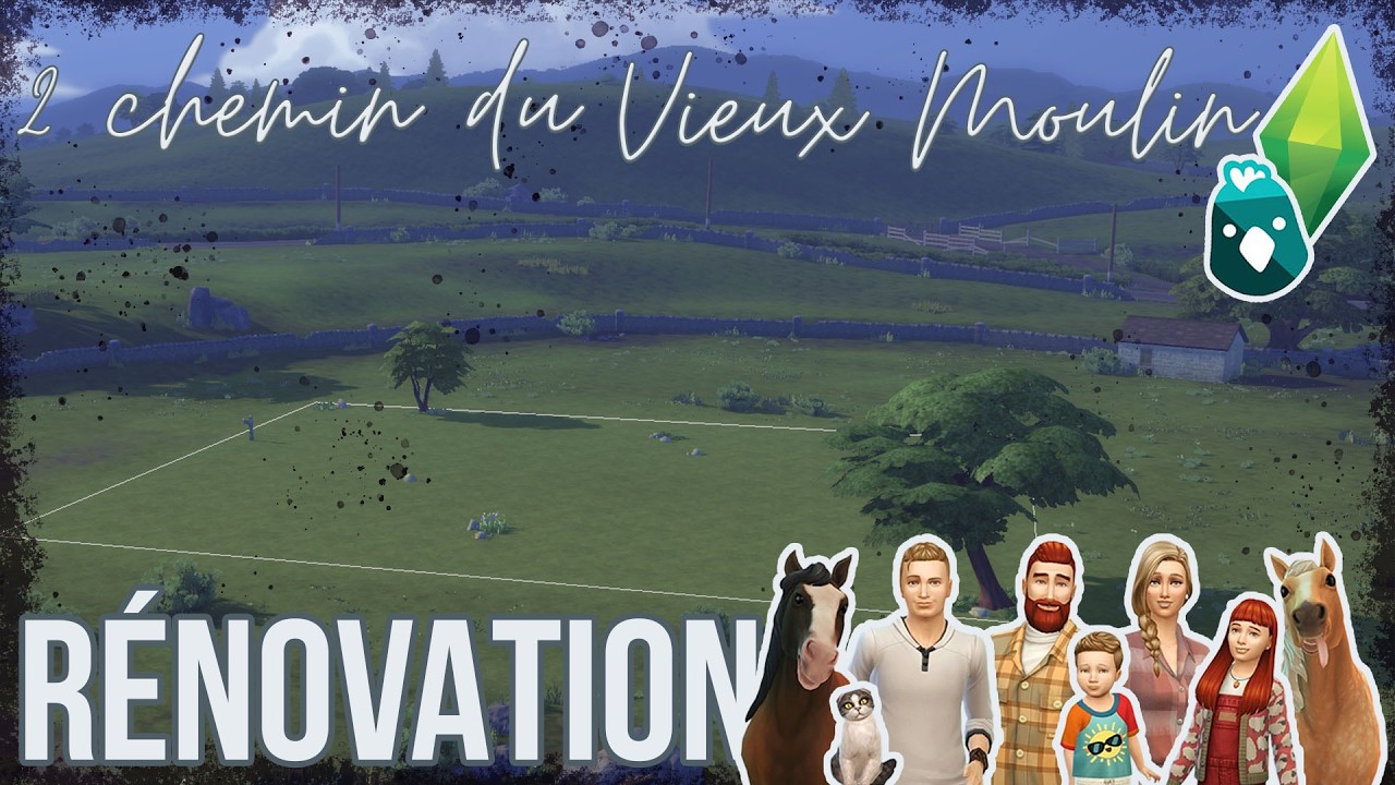 🐓 Rénovations du terrain 