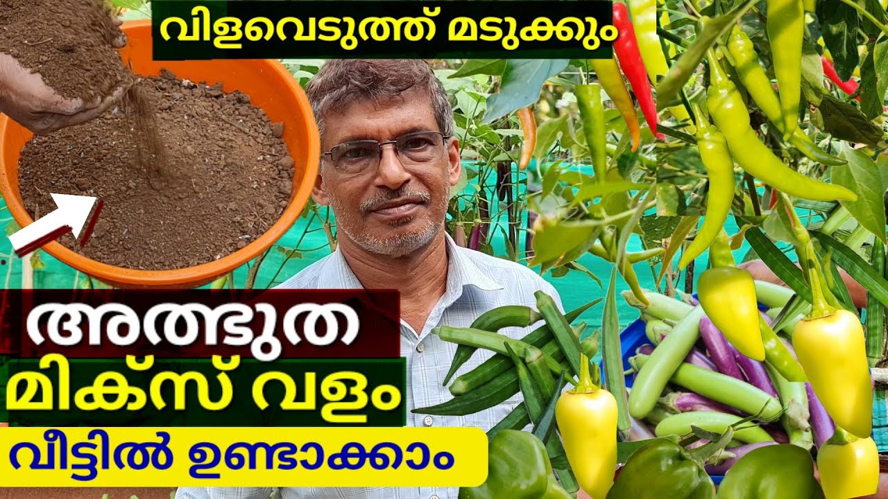 കൃഷികൾ തഴച്ചു വളരാനും നിറഞ്ഞ് കായ്ക്കാനും ഒരു സോയിൽ മിക്സ് ജൈവ വളം വീട്ടിൽ വച്ച് തയ്യാറാക്കാം