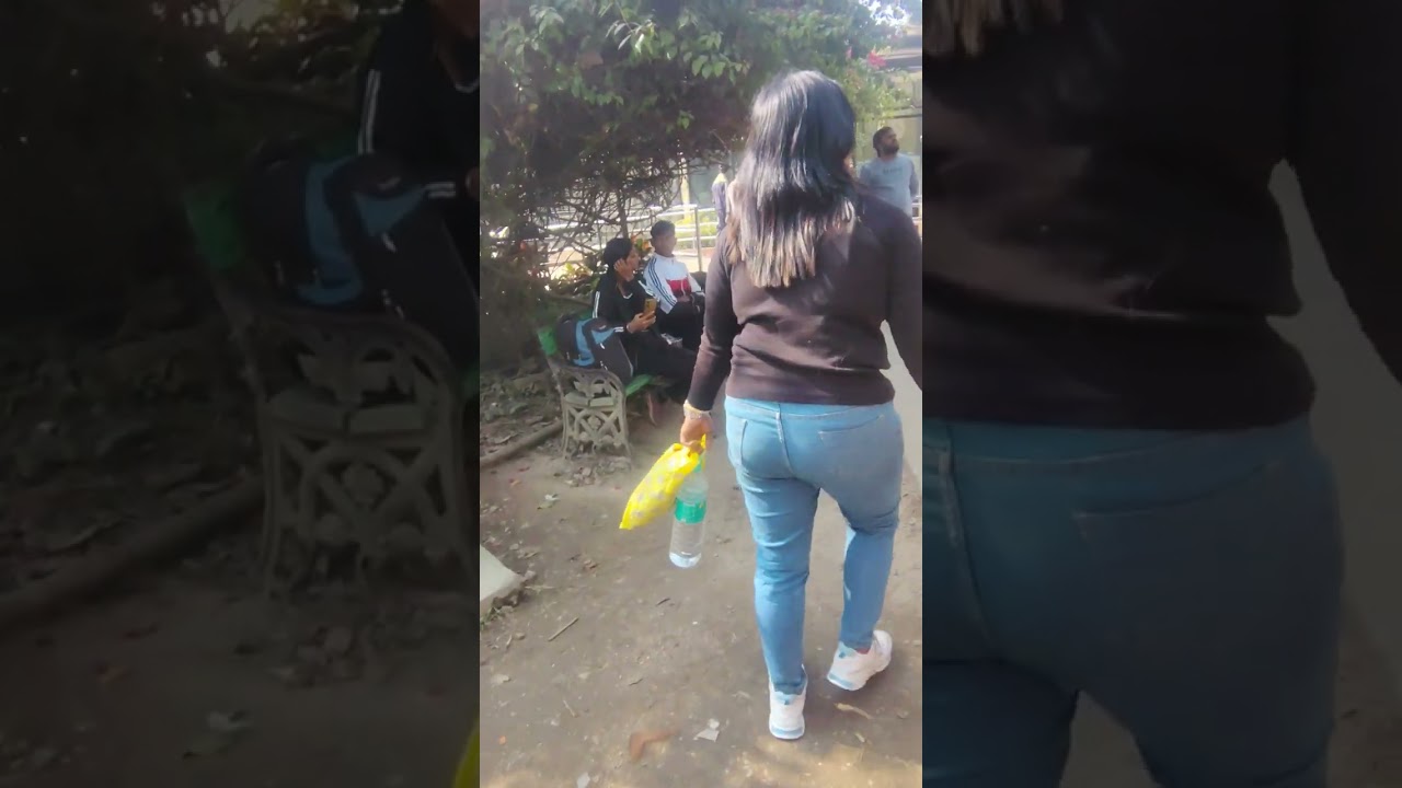 Zoo 