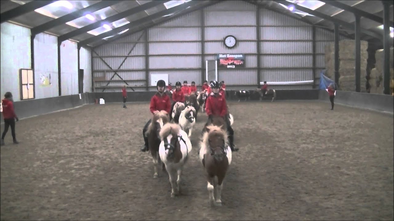 Film Animal Event