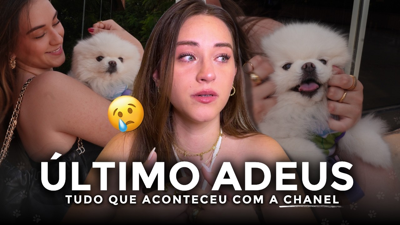 perdi minha cachorrinha💔