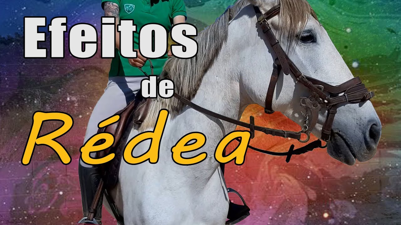 Efeitos de rédea - Como montar melhor pt.1