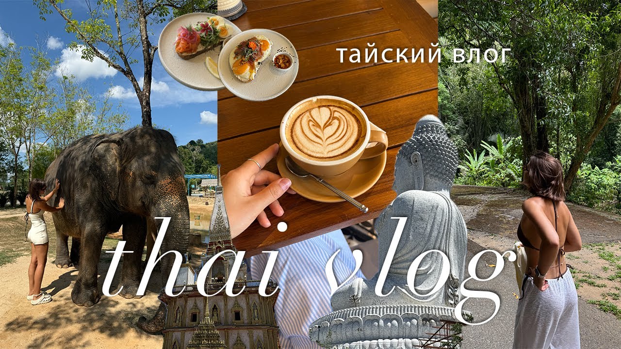 тайский влог | пхукет: заповедник слонов, статуя будды, водопады и кафе