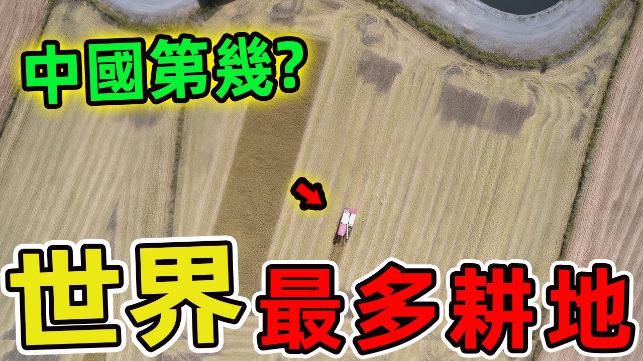 世界上耕地面積最大的十個國家，美國和印度誰才是真正的農業霸主?第十名竟然是非洲第一大耕地國,卻很少有人知道。|好奇風向標 #世界之最 #出類拔萃 #腦洞大開 #top10 #國家 #國家排名#耕地