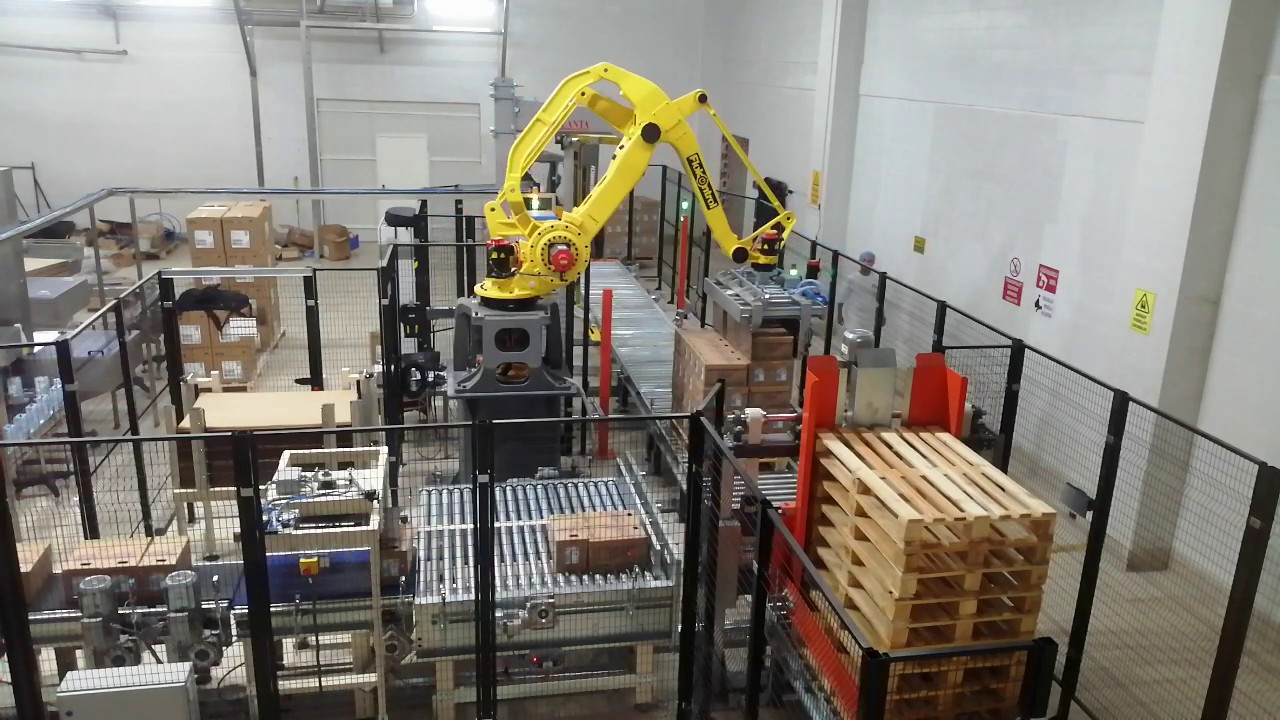 Palletizing System for Tetra Pak Cases