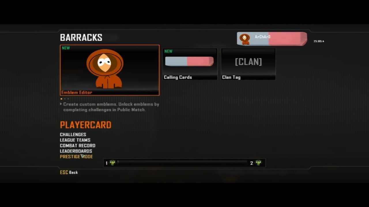 What happens when you reset stats in Black Ops 2?