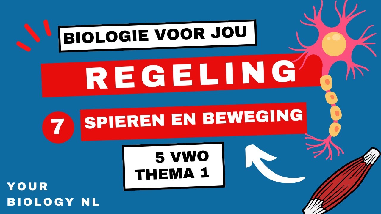 5 vwo | Regeling | 7 | Spieren & Beweging