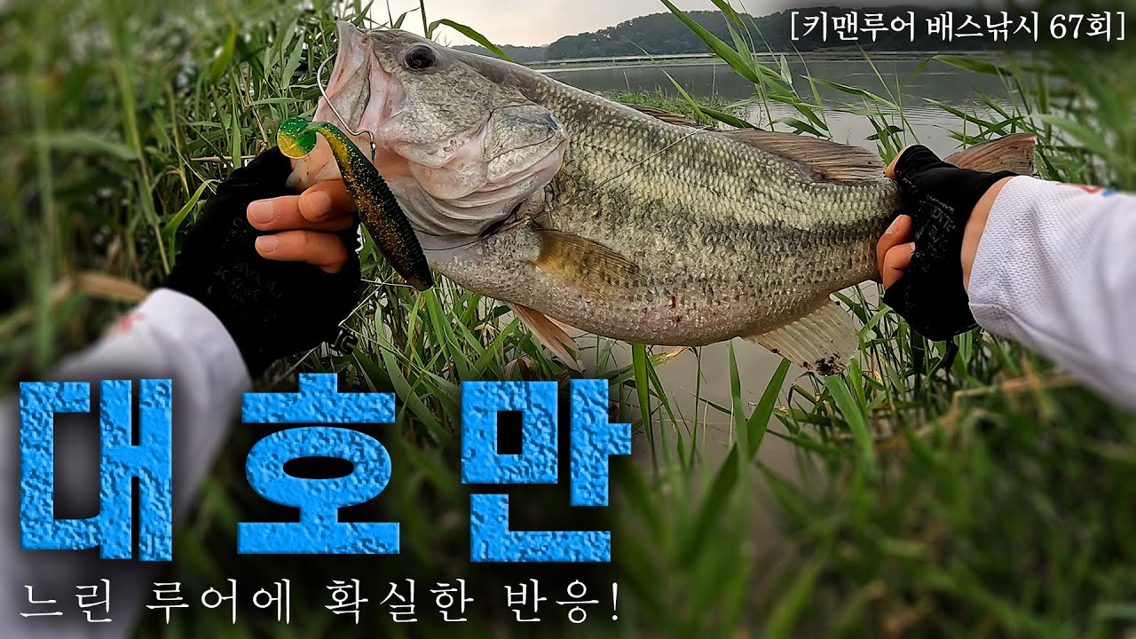 [키맨루어 배스낚시 67회] 대호만 배스 좋네요~!! / 스켈레톤 스위머 4.5인치, 빅브렐라 미니 3.5인치