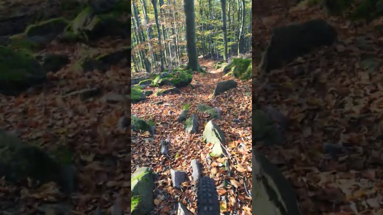 Fast rock trail, covered with leaves, #shorts, #mtbodw, #mtb, #mtbworld, #mtbnation, #mtblife