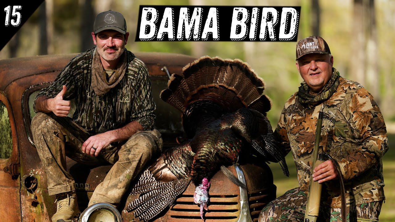 HOW to HUNT TURKEYS in OPEN WOODS