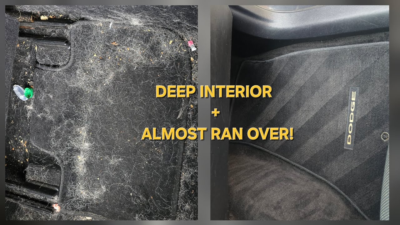 WATCH ME REMOVE YEARS OF DOG HAIR FROM THIS FILTHY CAR!!!