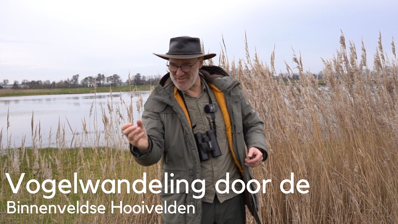 Vogels kijken in de Binnenveldse Hooilanden #1738
