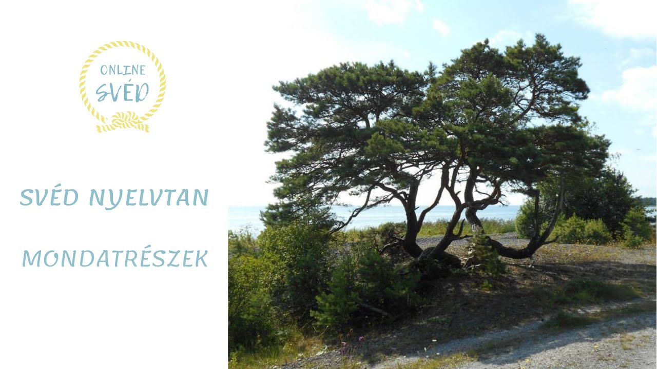 Svéd Nyelvtan: MONDATRÉSZEK dióhéjban