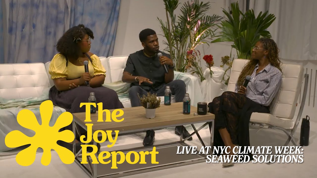 Live at NYC Climate Week: Seaweed Solutions