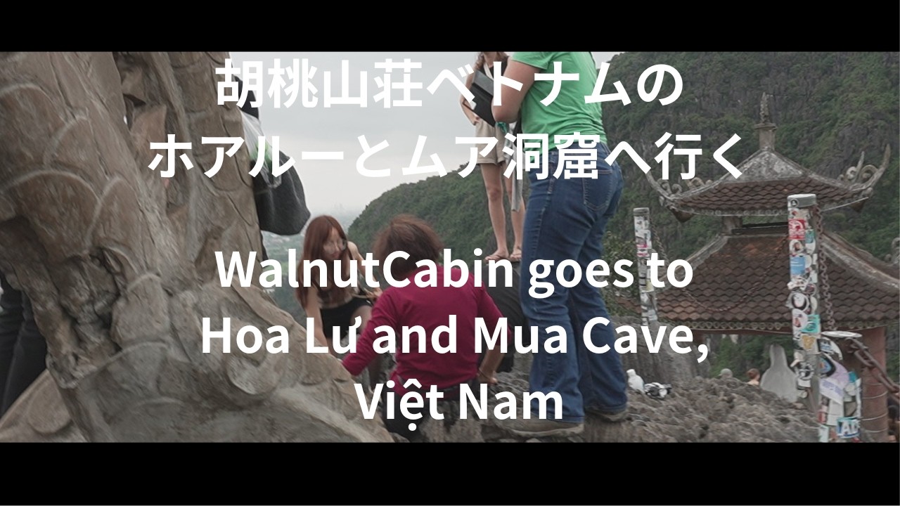 WalnutCabin : the day trip to Hoa Lu  and Mua Cave, special reunion with a long-time friend
