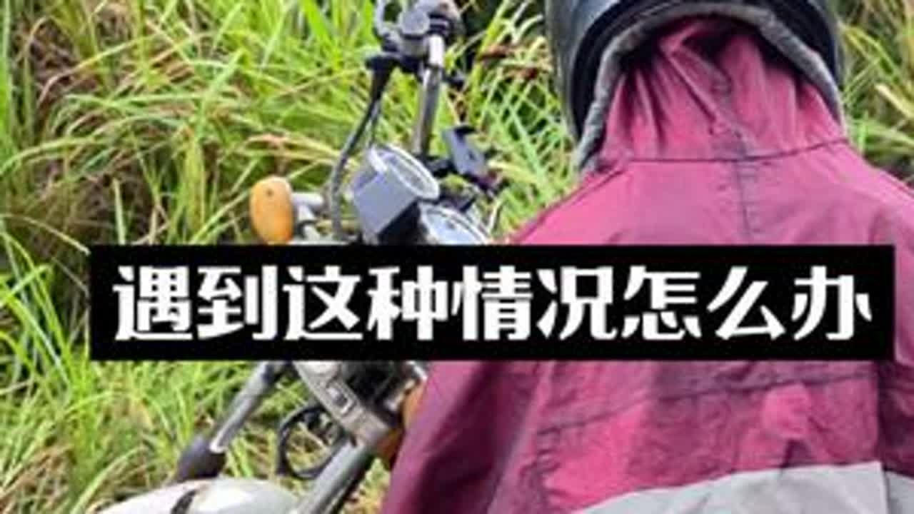 十分钟就诱过来那么多马蜂围着我， 把蜂窝挖出来看看究竟是多大的货#诱蜂水 #康哥诱蜂找蜂 #金环虎头蜂  #马蜂