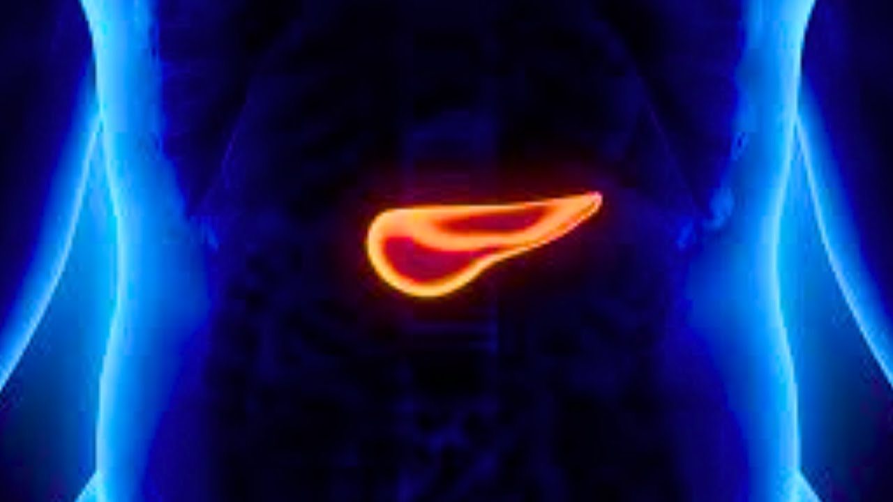 ЛУЧШИЕ ПРОДУКТЫ ДЛЯ БЫСТРОГО ВОССТАНОВЛЕНИЯ ПОДЖЕЛУДОЧНОЙ ЖЕЛЕЗЫ