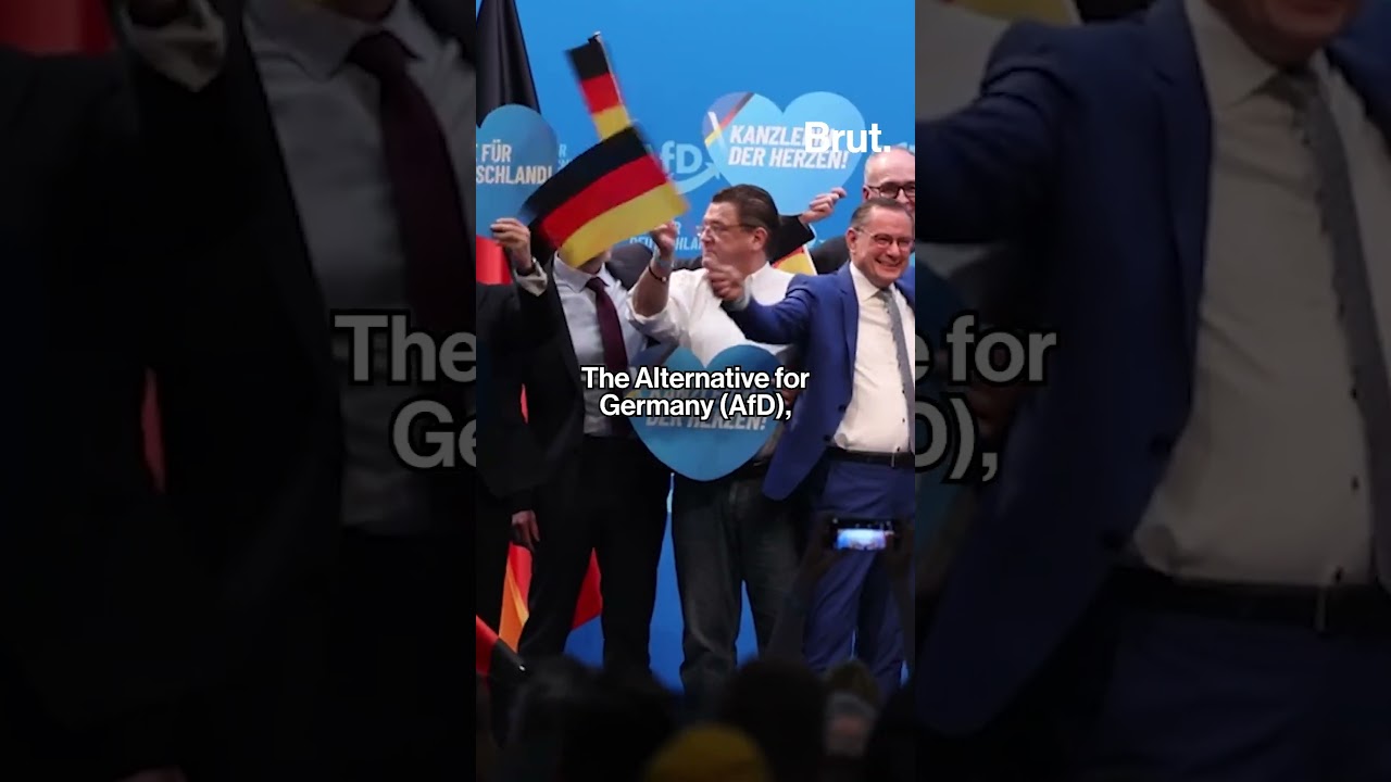 German elections 2025