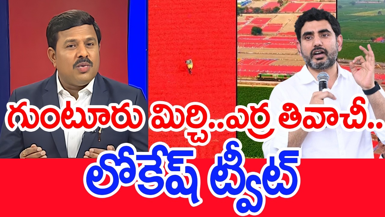 గుంటూరు మిర్చి..ఎర్ర తివాచీ..లోకేష్ ట్వీట్ | Mahaa Vamsi Analysis on Carpet of Red Chillies