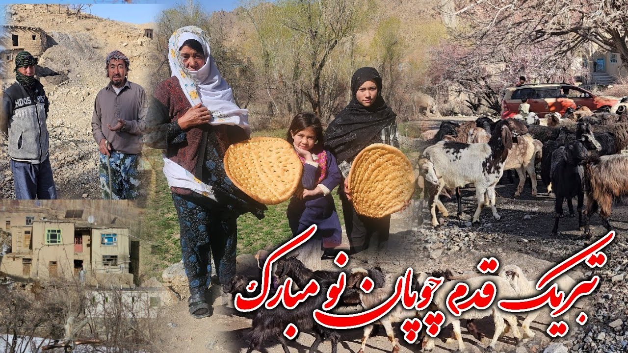 تبریک برای اهالی قریه ما چوپان نو امسال 😍🤩🇦🇫و اولین روز چوپان برای مال بوردن