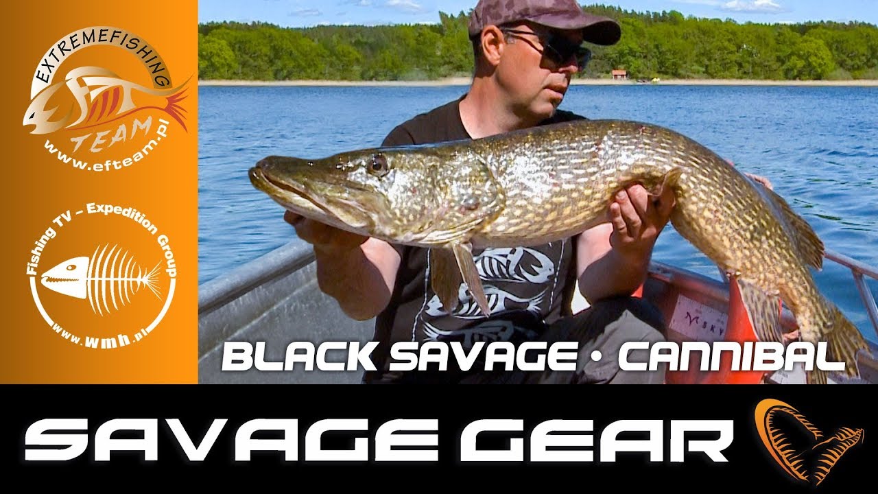 WMH / Savage Gear 1: Black Savage i Cannibal