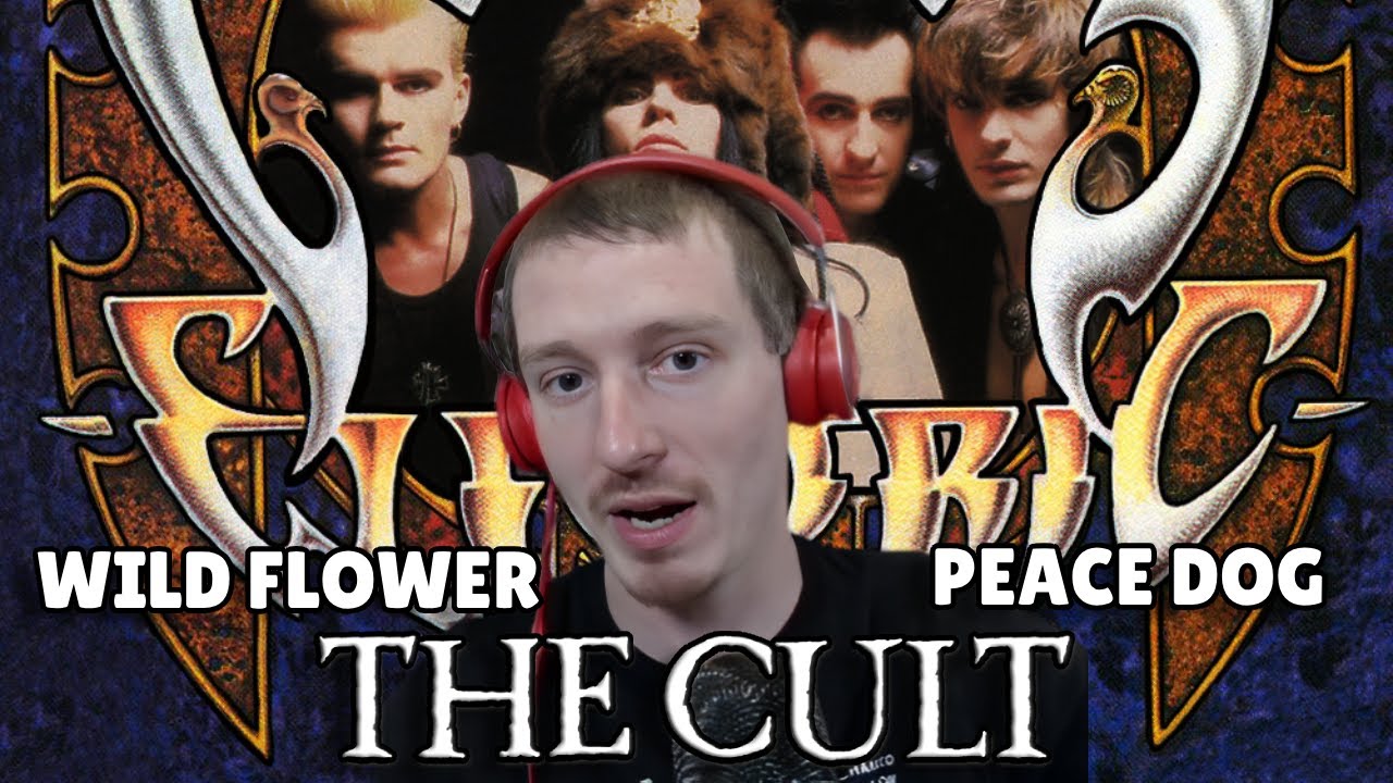 The Cult - Wild Flower & Peace Dog | REACTION