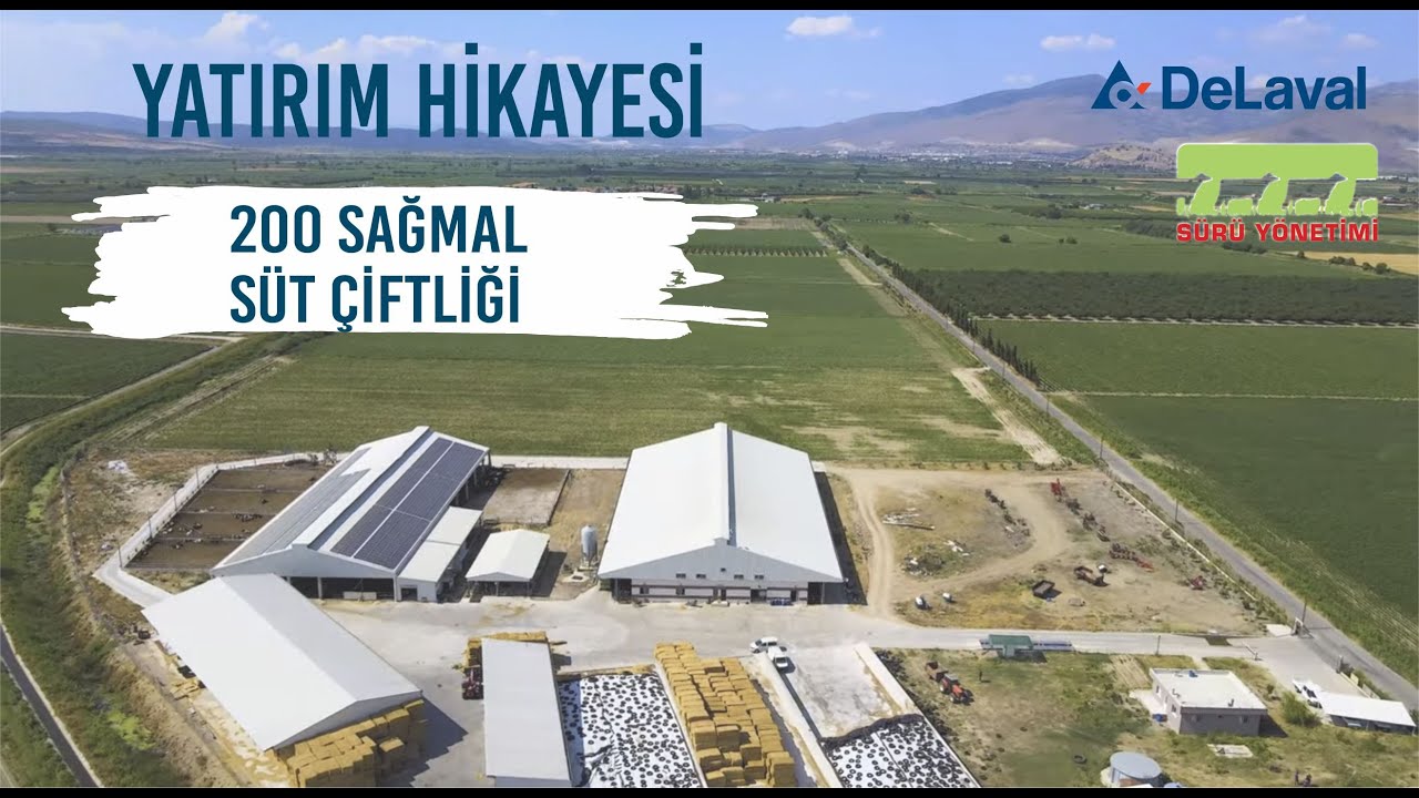 Delaval VMS™ Süt Sağım Robot Çiftliği / Yonca Hayvancılık / Sürü Yönetimi
