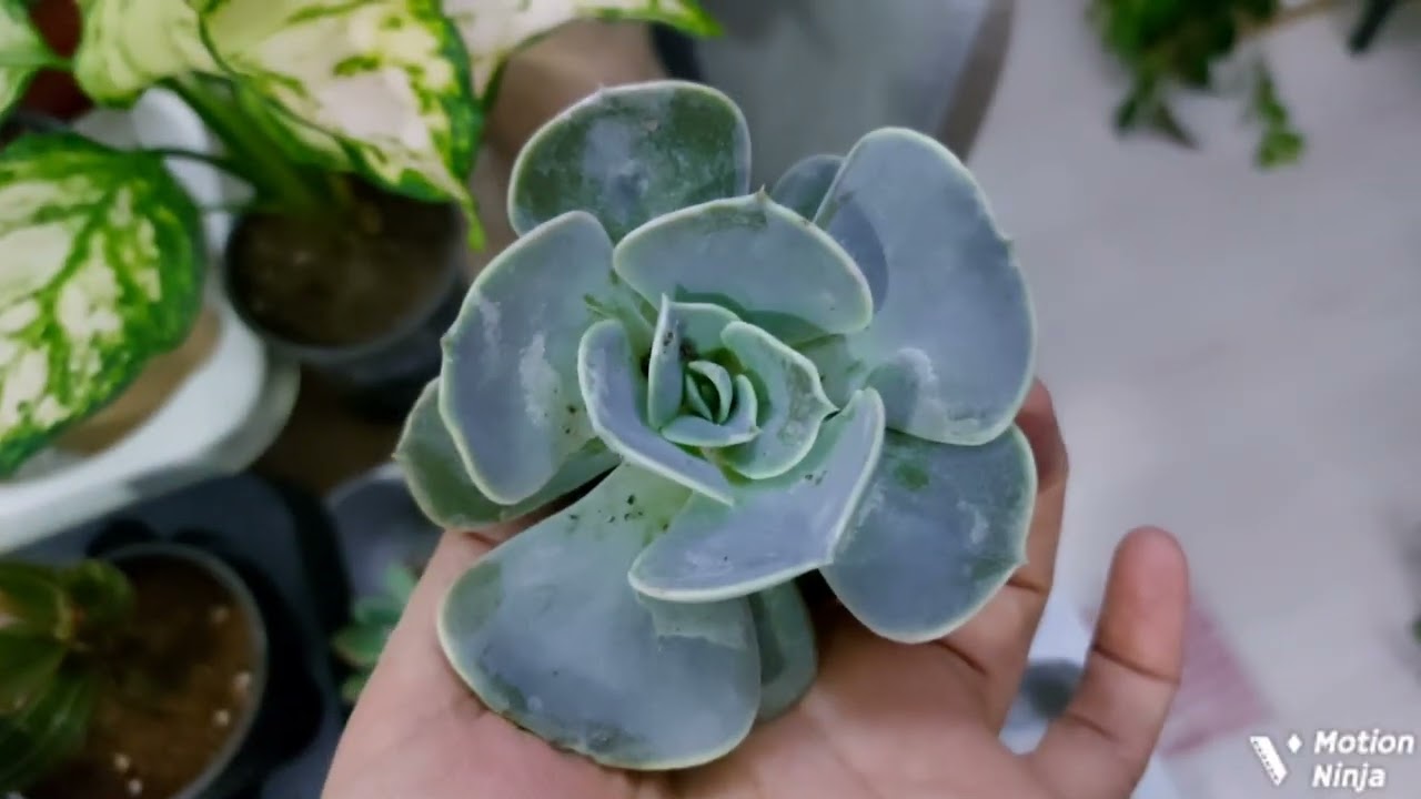 Bugun neler var takibde kalin arkadaşlar 🥰❤️🌺