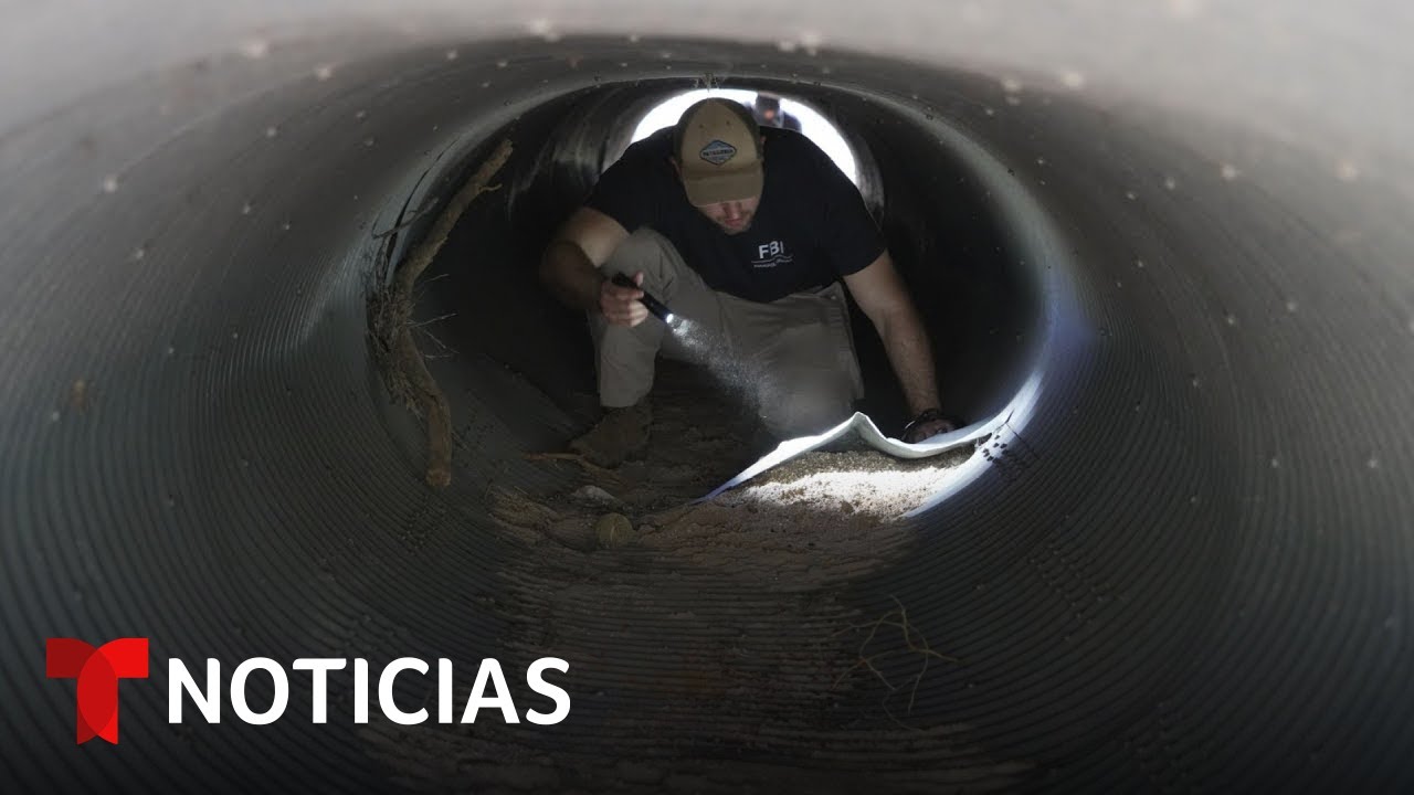 Buscan rastros de ADN en guantes hallados cerca de la casa de Nacy Guthrie