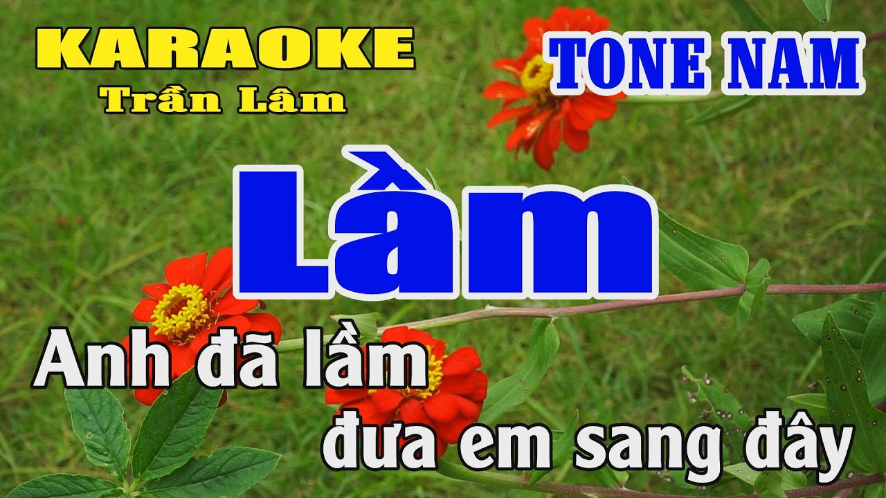 Karaoke Lầm Tone Nam ( La thứ ) Karaoke Trần Lâm
