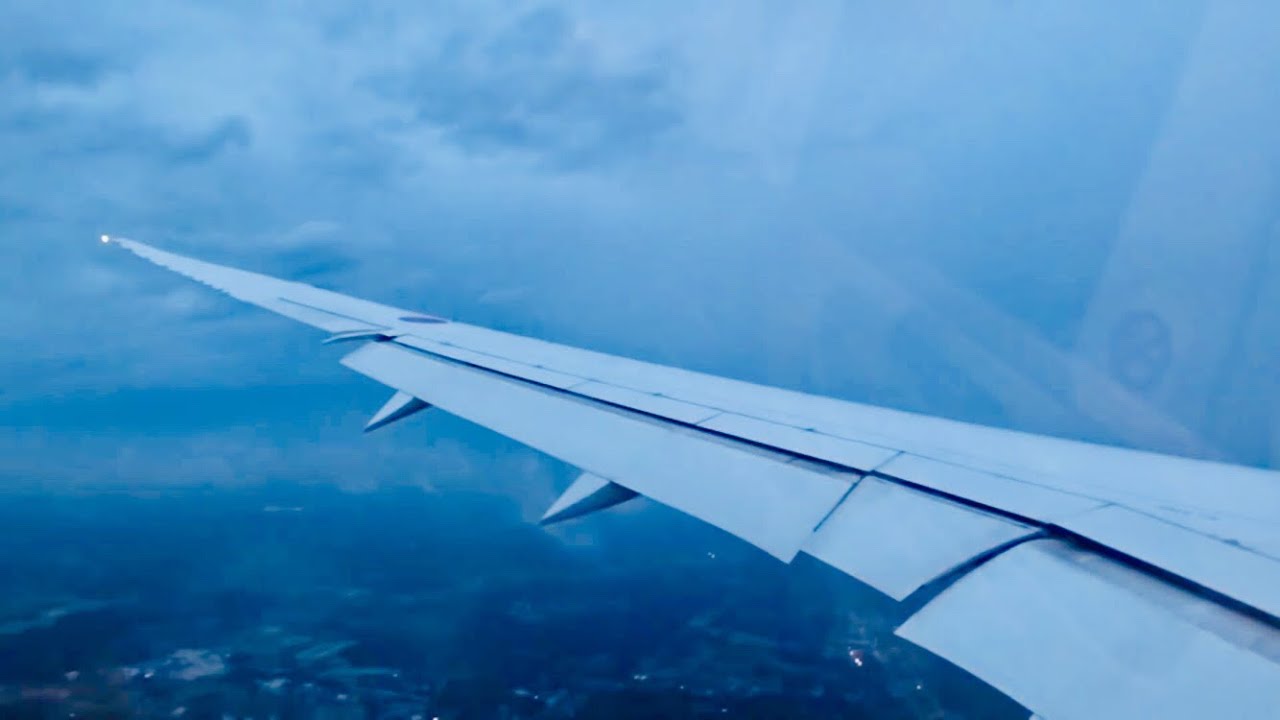 ANA 787 Landing in a Typhoon at Tokyo Narita | Crosswind Approach!