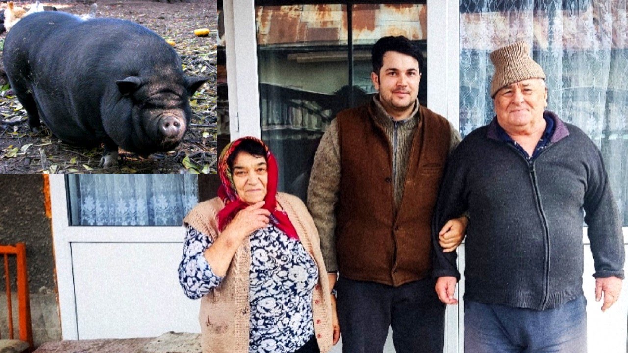 AM TĂIAT UN PORC VIETNAMEZ  PENTRU EI!