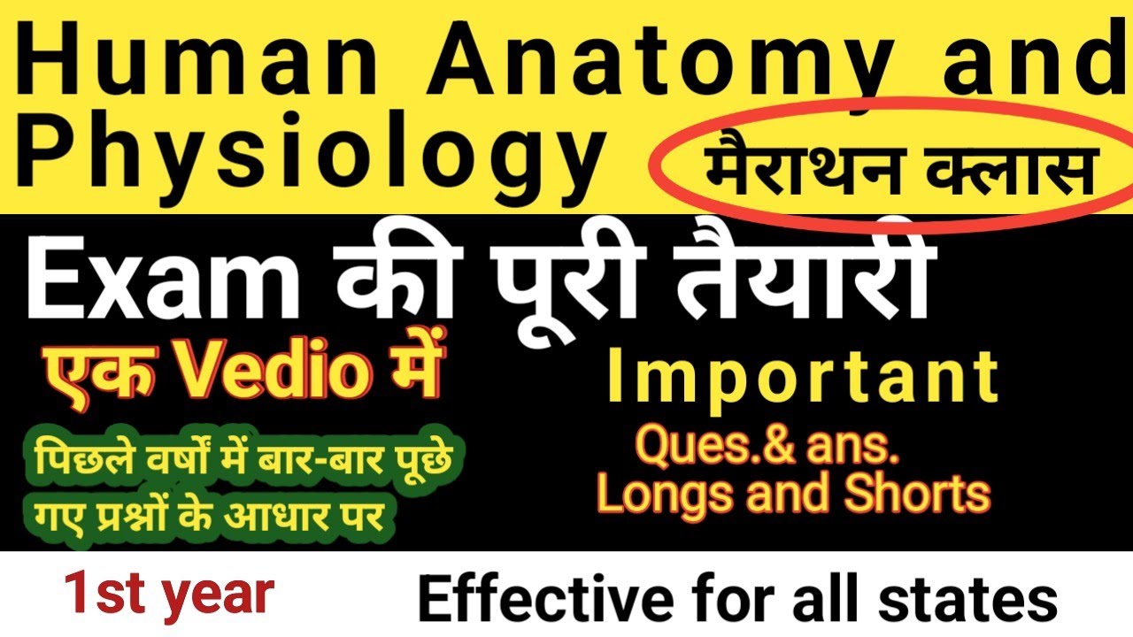 Human Anatomy and Physiology Marathon Class || Important Questions & Answers 2025 Full