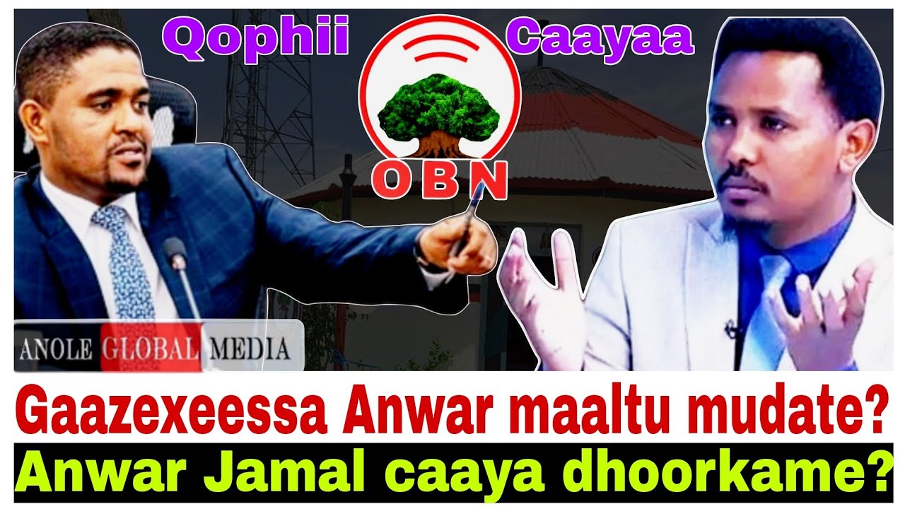 Anwar Jamal OBN Caayaa irra dhorkame?/Anwar Jamal maaltu mudate?/7/7/2024 #AGM #qophiiCaayaa