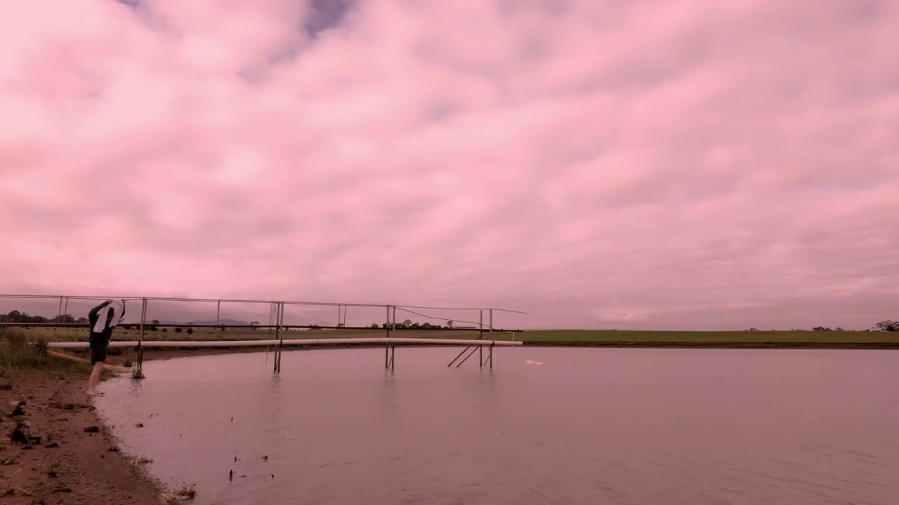 The Paper Kites - Morning Gum (Official Video)