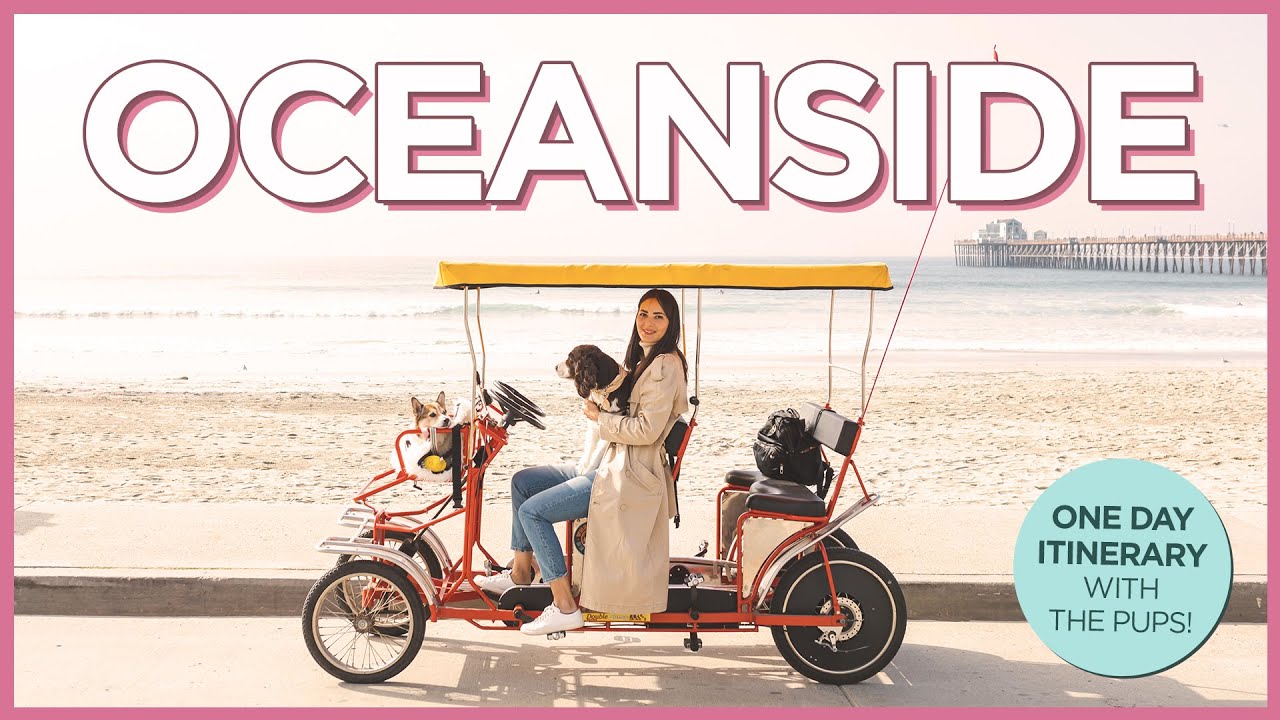 How To Have a Fantastic Day in Oceanside With Your Dog