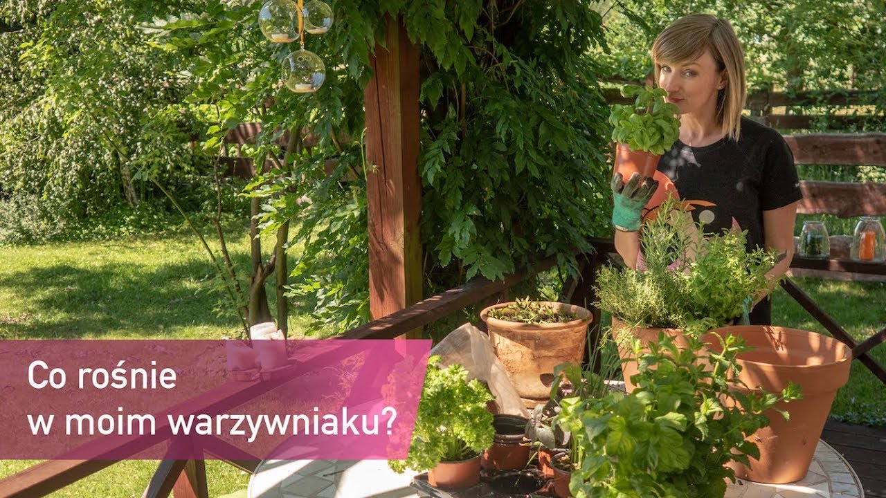 Mój ogródek warzywny – co w nim rośnie? | Ula Pedantula #139