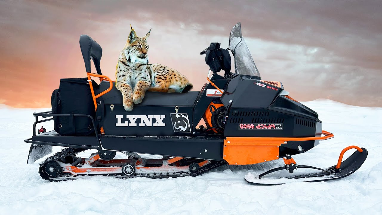 Most affordable snowmobiles 2026! Not Ski Doo, but Lynx as well. Tests in the deepest snow!