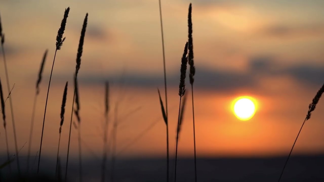 Let the evening breathe