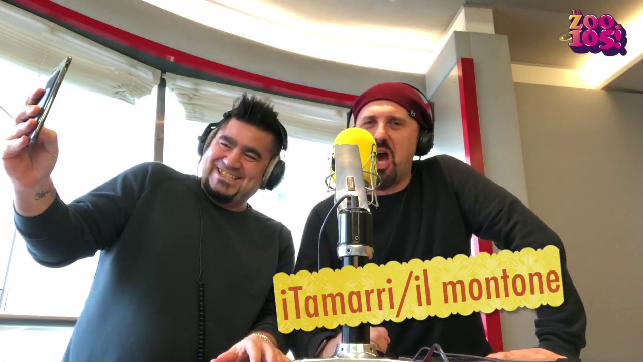 I TAMARRI: Il montone