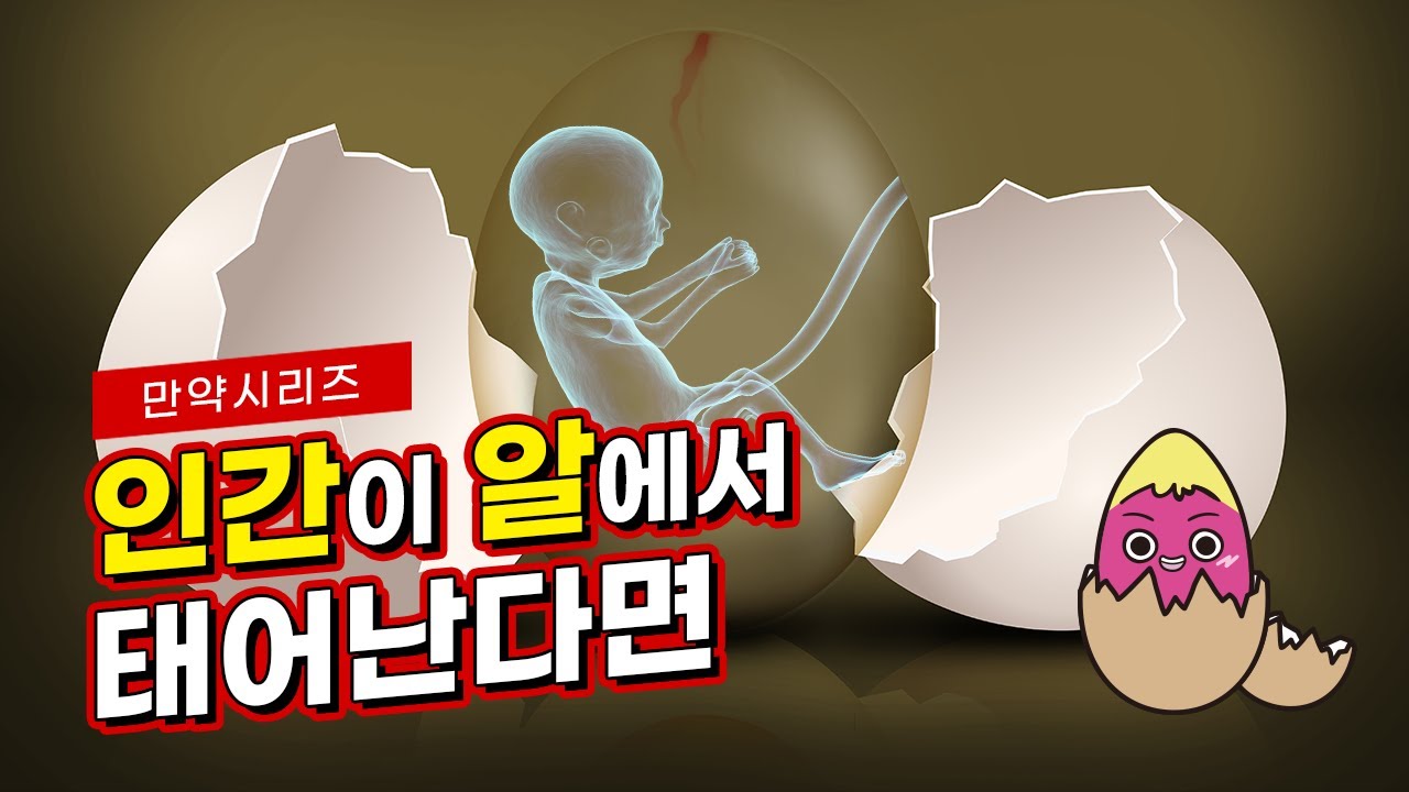 🍠 만약 인간이 알에서 태어난다면 무슨 일이 일어날까? (feat. 박혁거세)