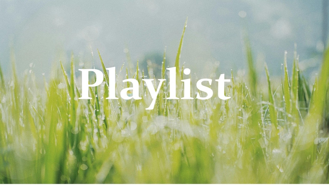 Playlist ☔ 비 오는 날, 흐린 날 기분을 가볍고 뽀송하게 해주는 감성 플리 🎧