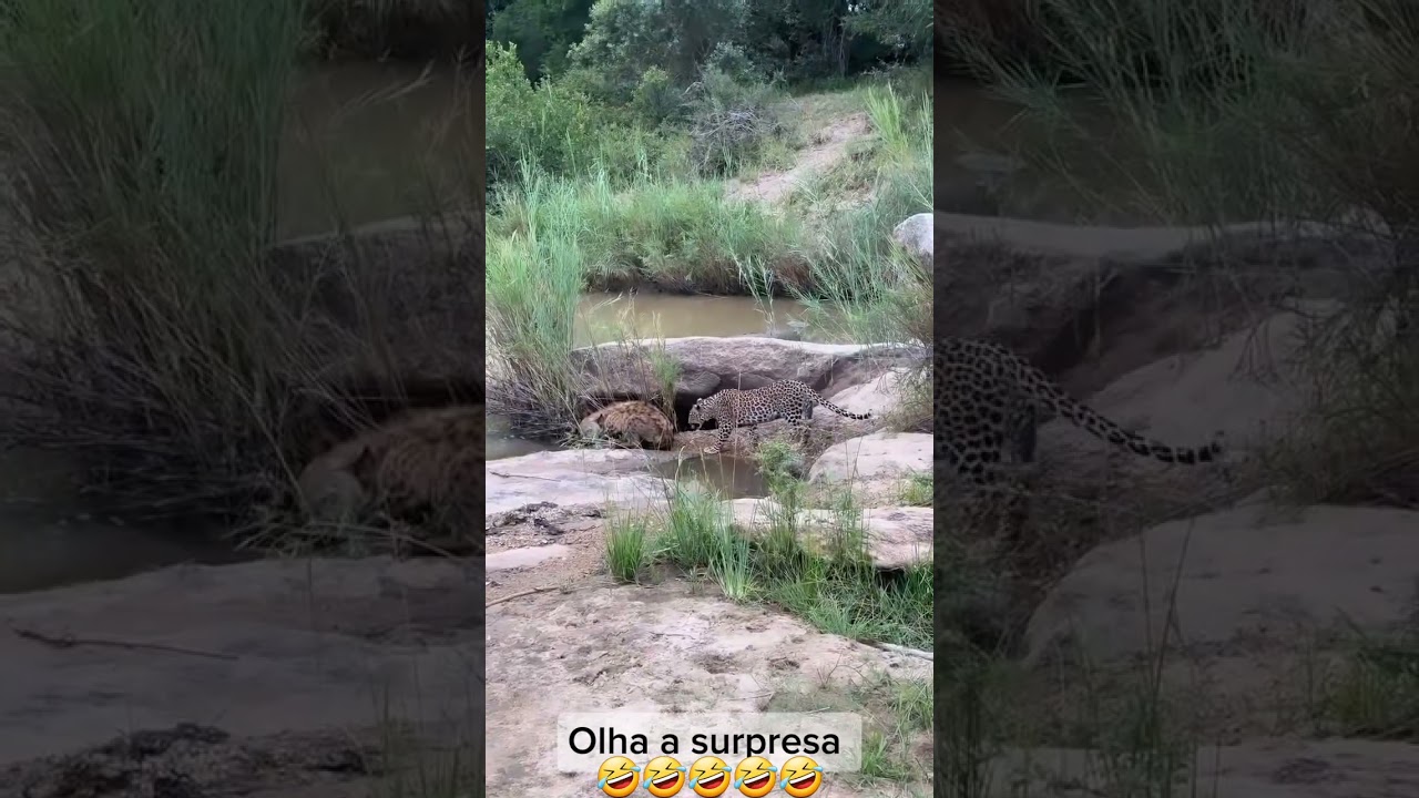 olha o  susto 😱