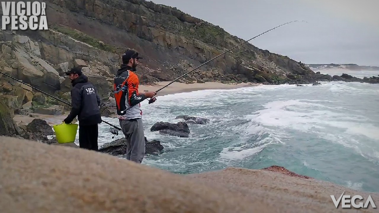 A Serra da Foz do Arelho PARTIU! 😱 Fomos Testar o Novo Pesqueiro… e Deu Sargos! 🎣