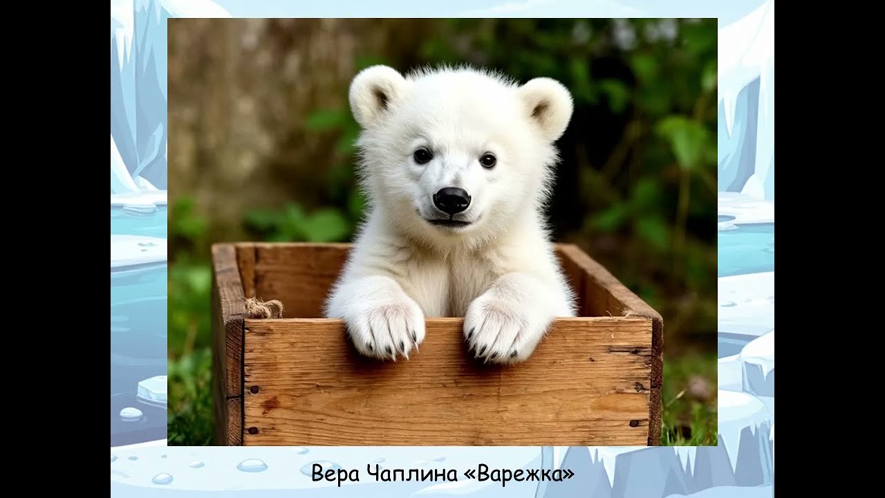 Книжки о полярных мишках